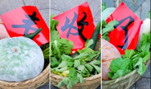 江陵沃野慶豐收 2023年中國(guó)農(nóng)民豐收節(jié)暨農(nóng)產(chǎn)品展銷會(huì)圓滿舉行